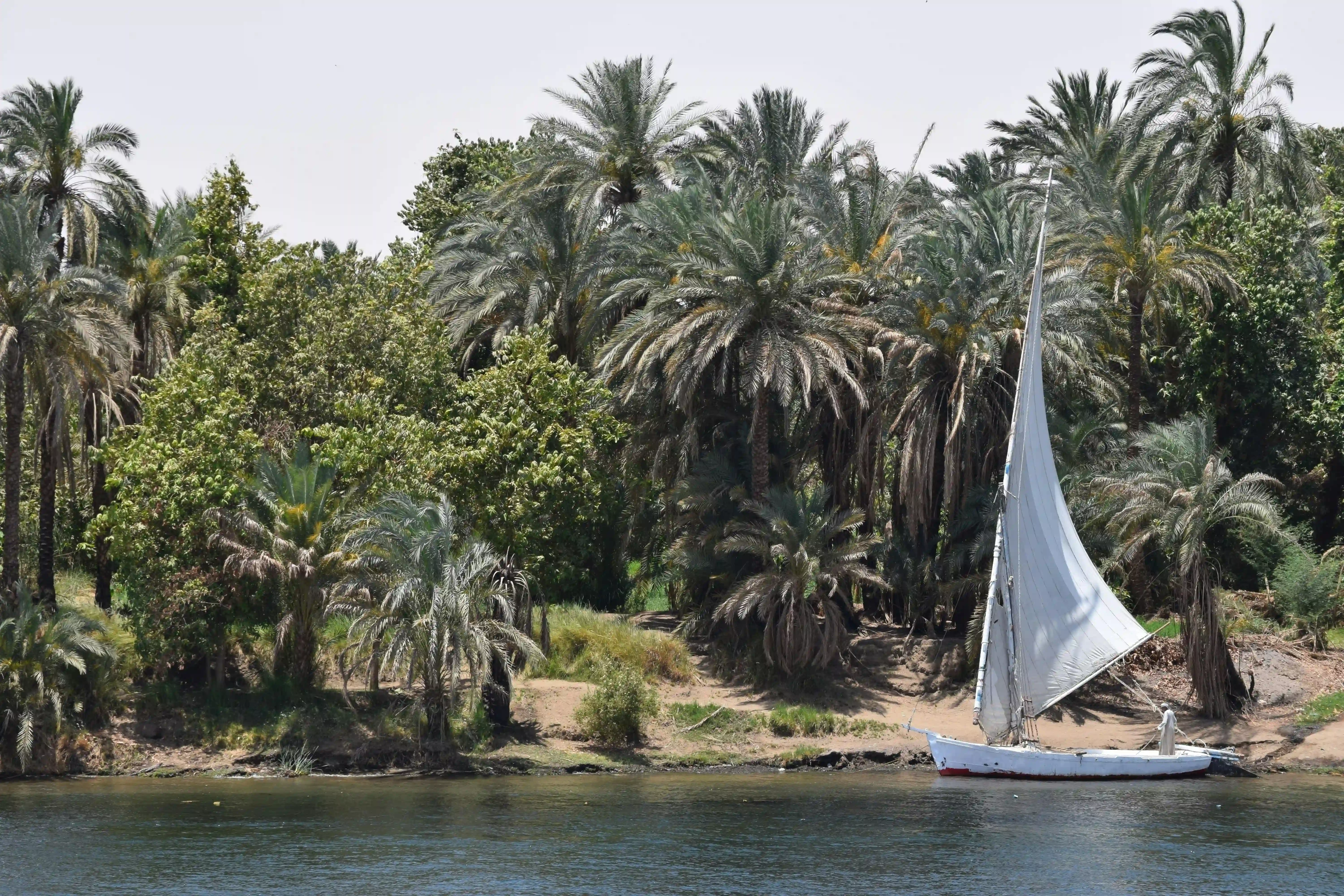 Nile River in Ancient Egypt Trade Route
